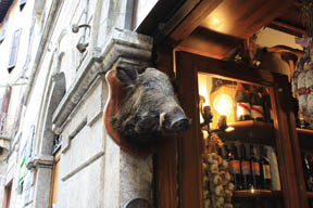 Stuffed boar's head in Siena, Italy